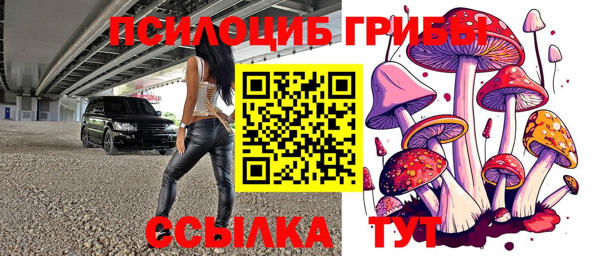 Тольятти  Галлюциногенные грибы MAGIC MUSHROOMS  Вход с VPN 
