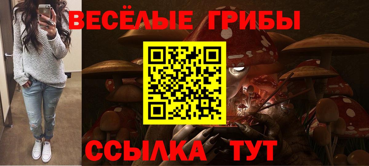 Псилоцибиновые грибы Psilocybine cubensis Тольятти